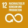 SDG Icon 12