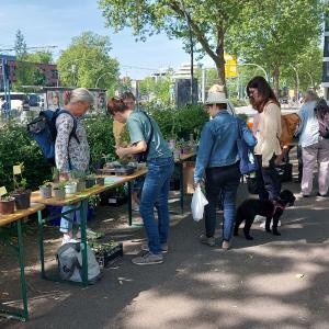 Stand der Pflanzentauschbörse mit Besuchern