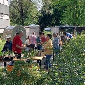 Besucher der Pflanzentauschbörse