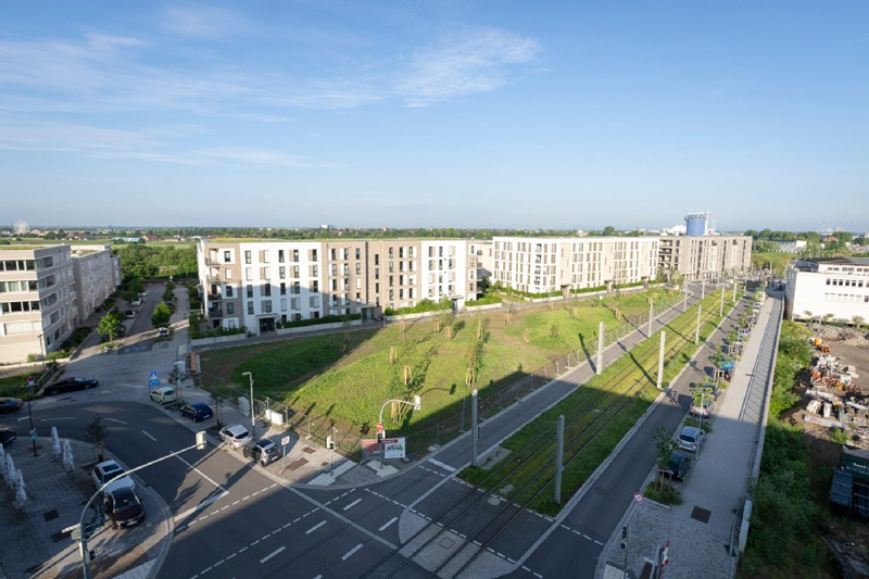 Eine Grünfläche eingerahmt von Straßen und Gebäuden.