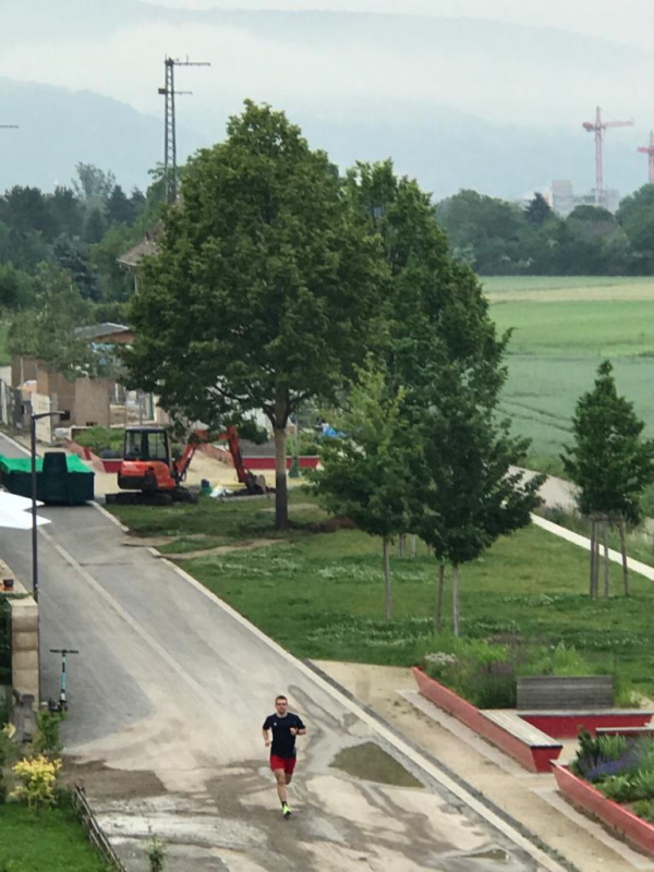 Baumverpflanzung in der Bahnstadt. Foto: Stadt HD